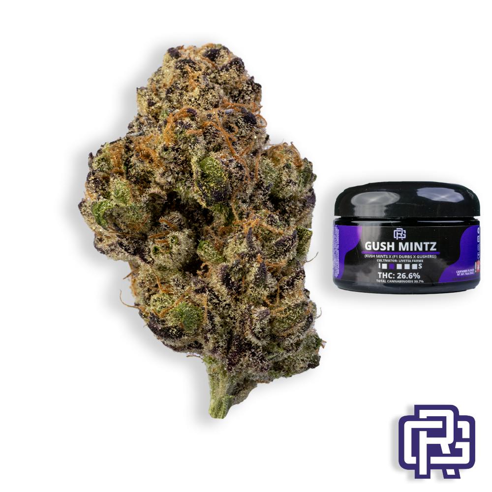 Gush Mintz | 7g
