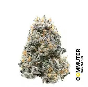 Honey Tree | 3.5g at Lowell Cannabis Co.