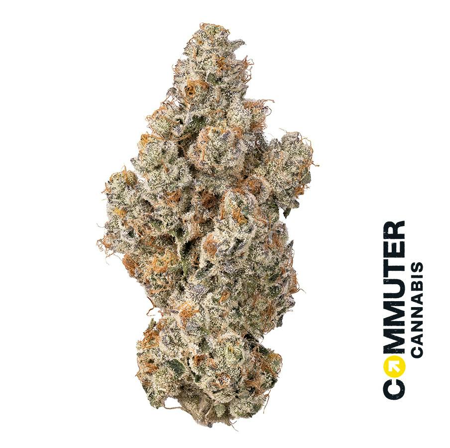 Lemon Balm | 3.5g at Ember Gardens Weed Dispensary Cape Cod