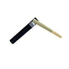 White Truffle | Joints | 1g at Today's Herbal Choice Tillamook