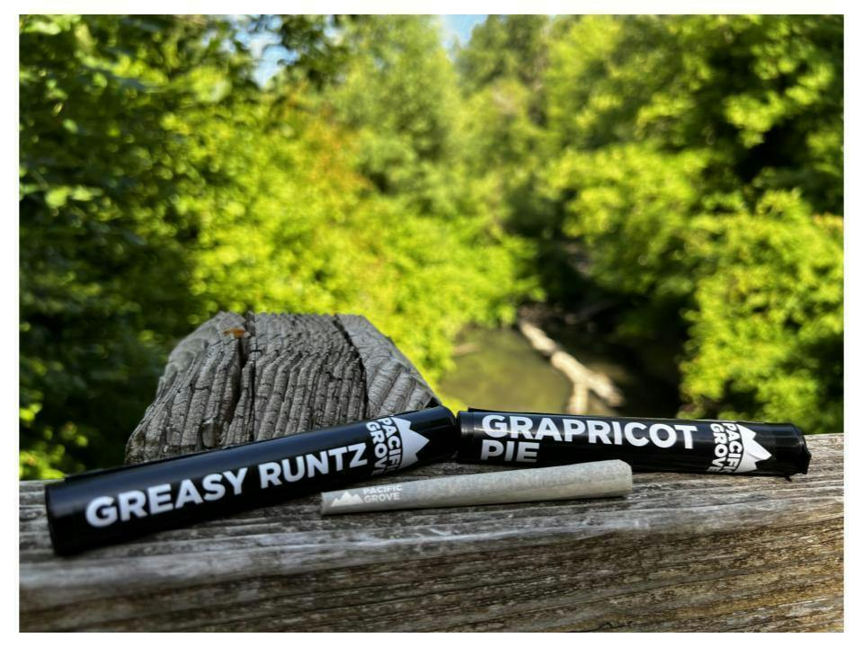 Project Gary | Joints | 1g at Today's Herbal Choice Tillamook