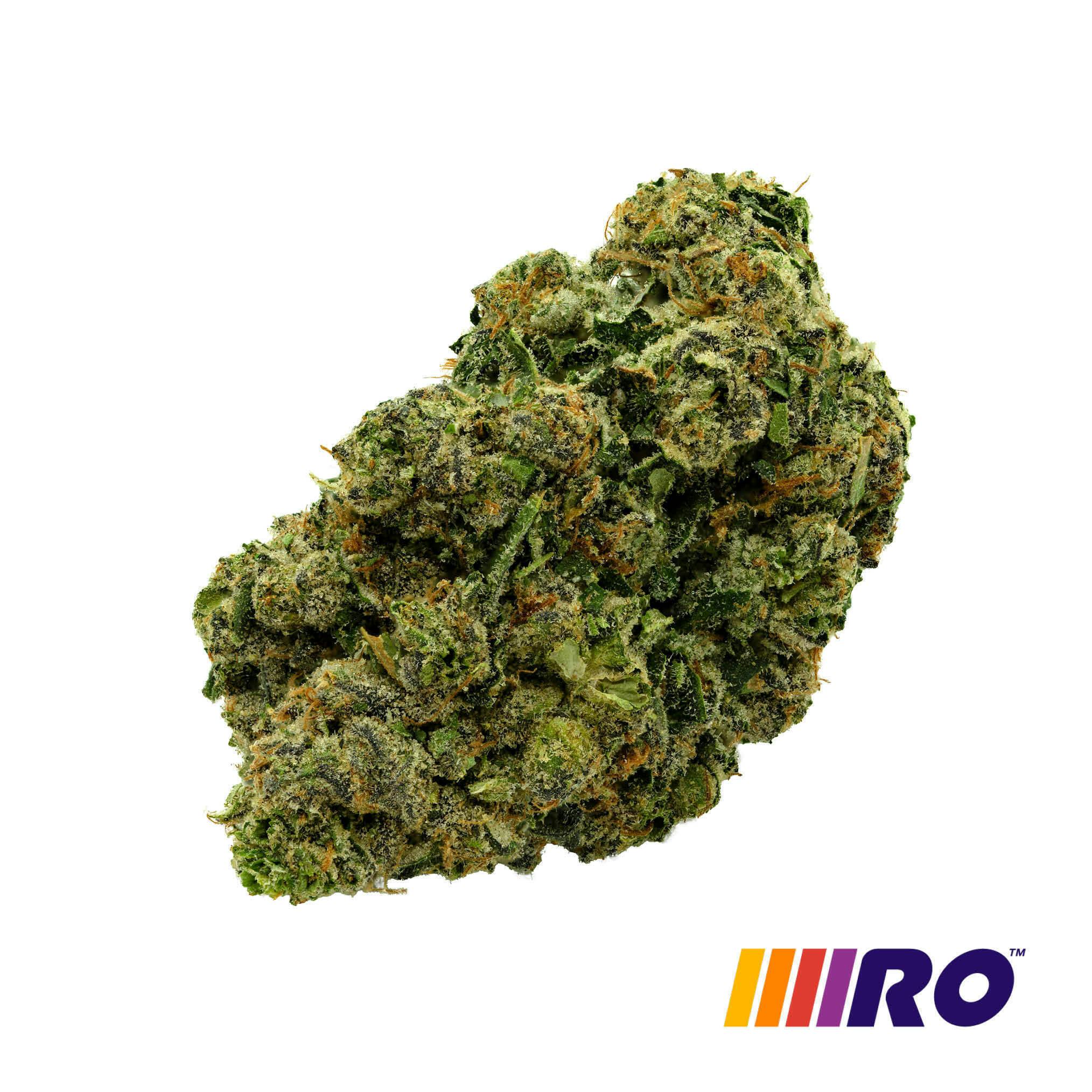 Sunset Sherbert x Kush Mints | 3.5g