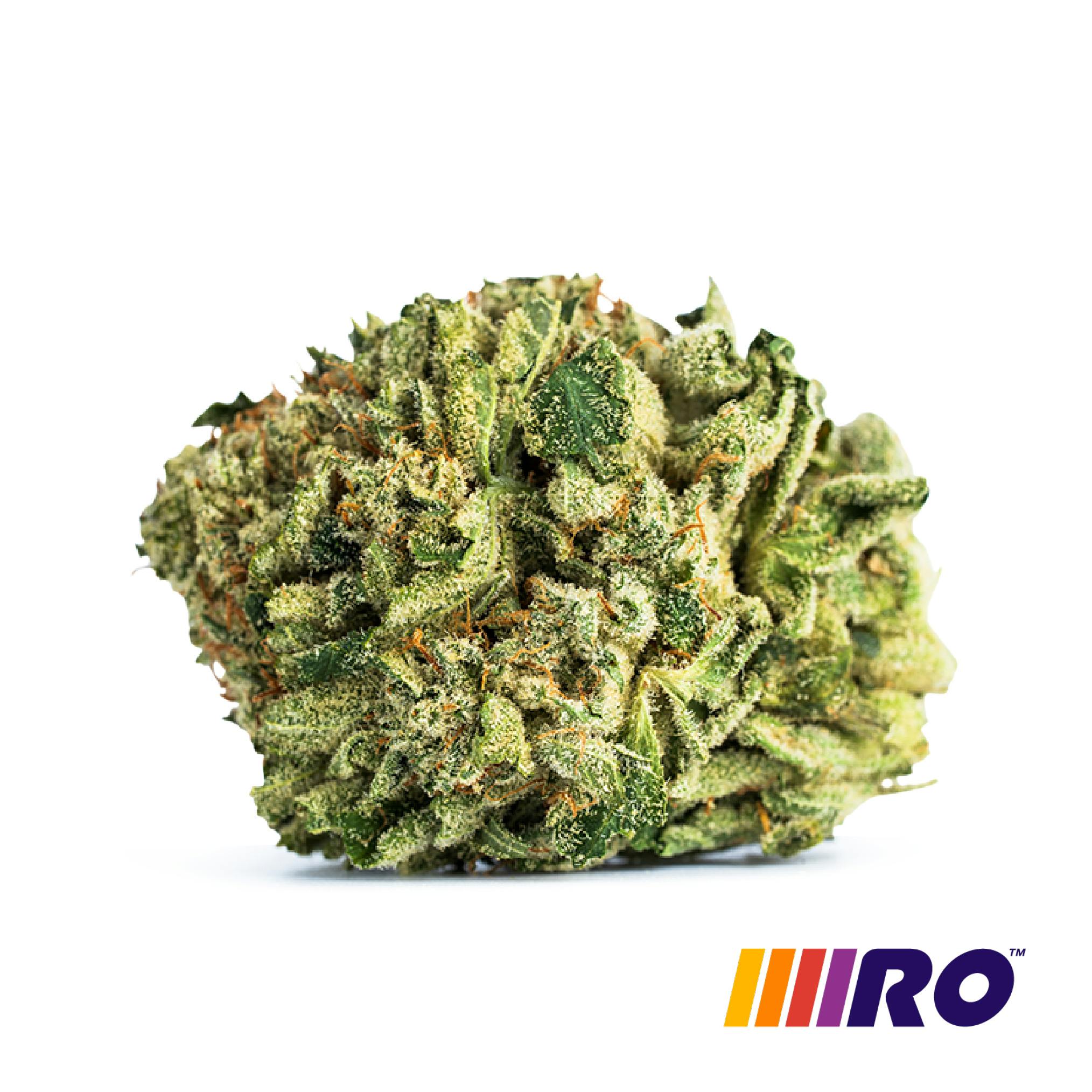 Admiral Apple | 3.5g