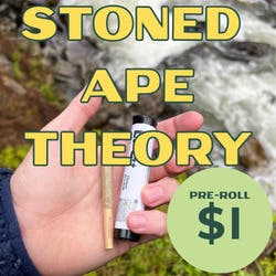 stoned ape theory | Joints | 0.5g at The Java Joint by LPC