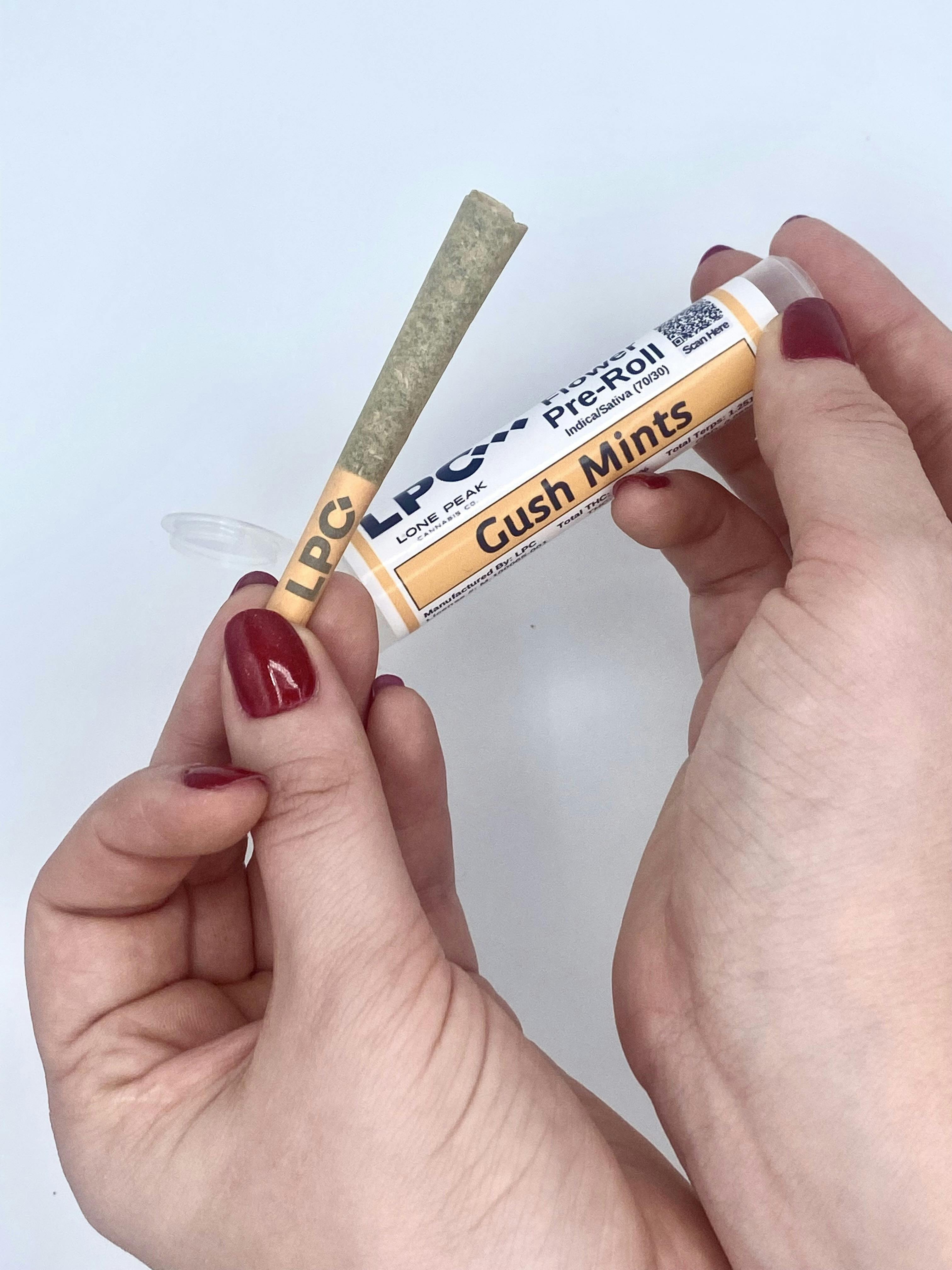 Gush Mints | Minis | 0.5g at Silverleaf 4 Corners