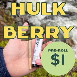 Hulkberry | Minis | 0.5g at The Java Joint by LPC