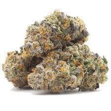 Grape Gas | 1g at Pioneer Valley Trading Company Southwick