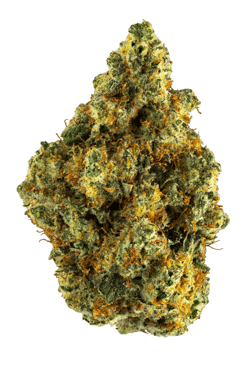 Rosanna | 3.5g at Black Bear Weed DIspensary Winona