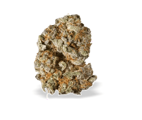 Angry Apples | 3.5g at Unanimous Cannabis