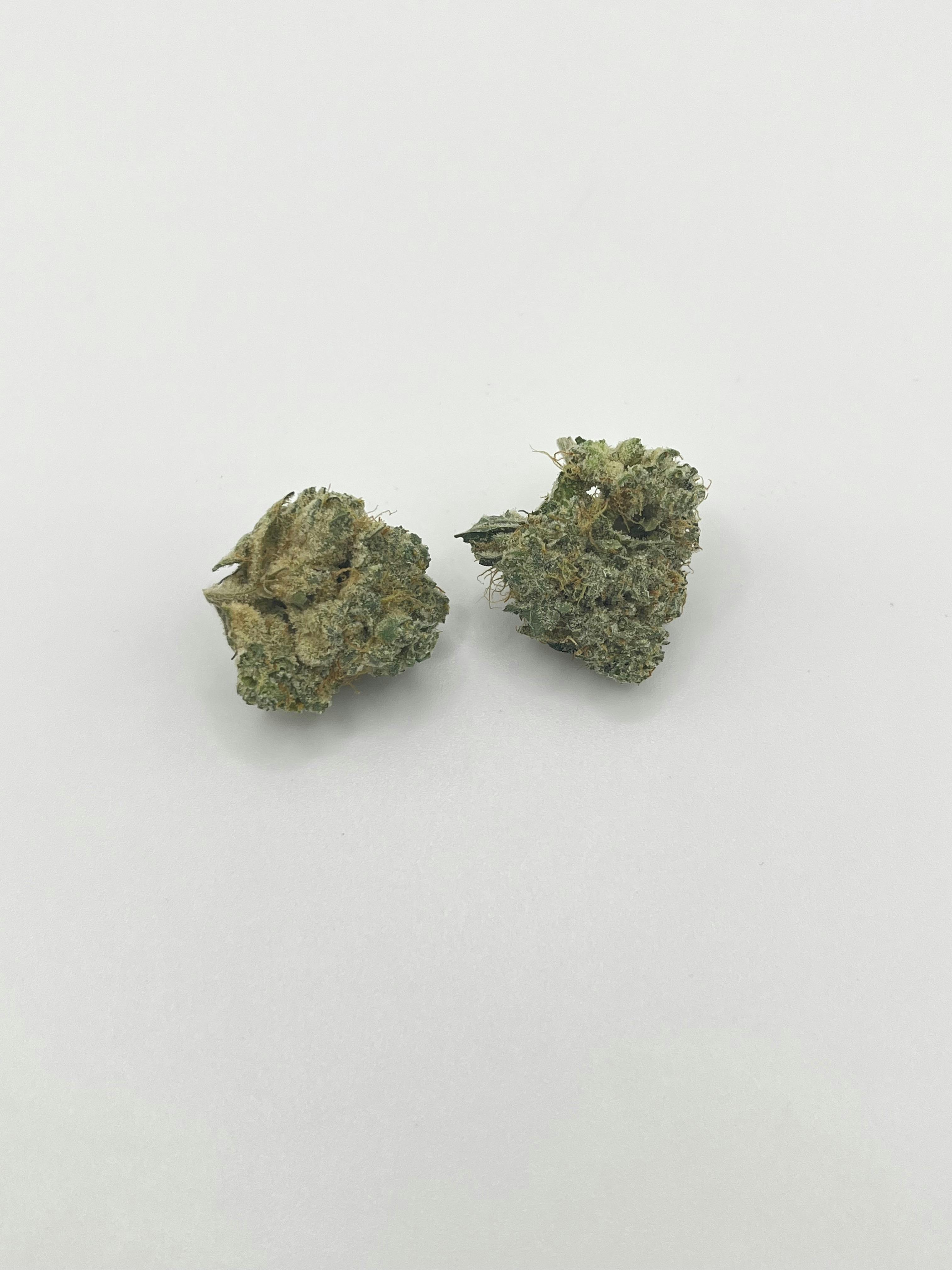 Wilfunk | Big Buds | 3.5g at Grazzhopper