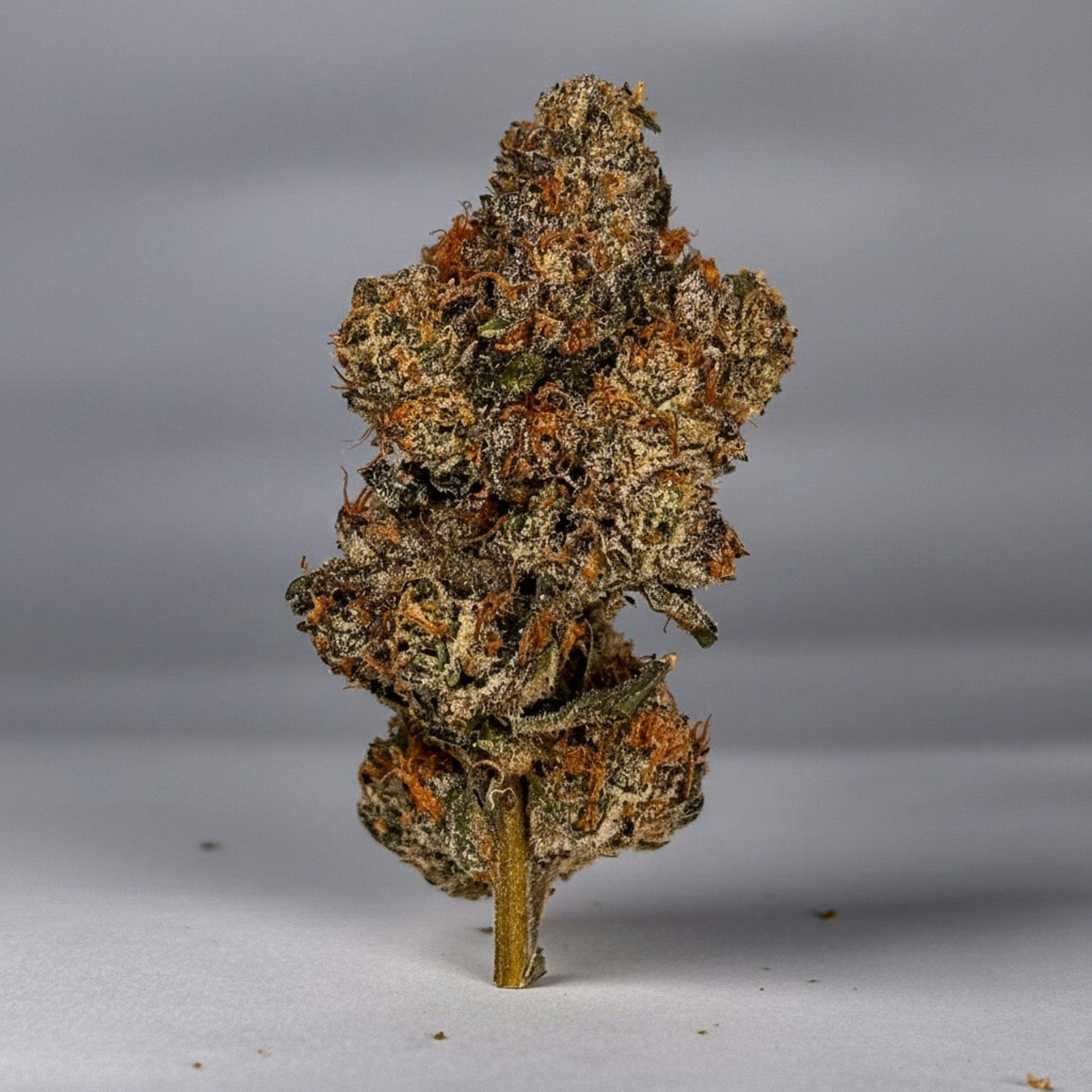 Doctor Reefer -: Blue Nerds