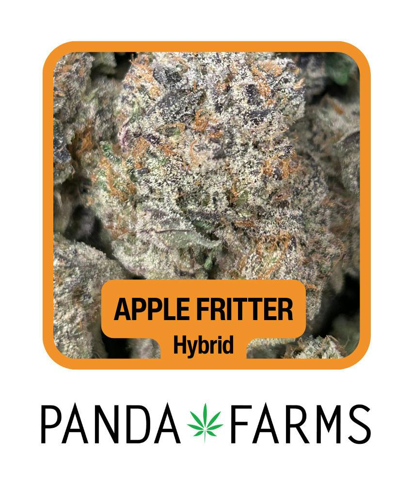 Apple Fritter | Big Buds | 3.5g