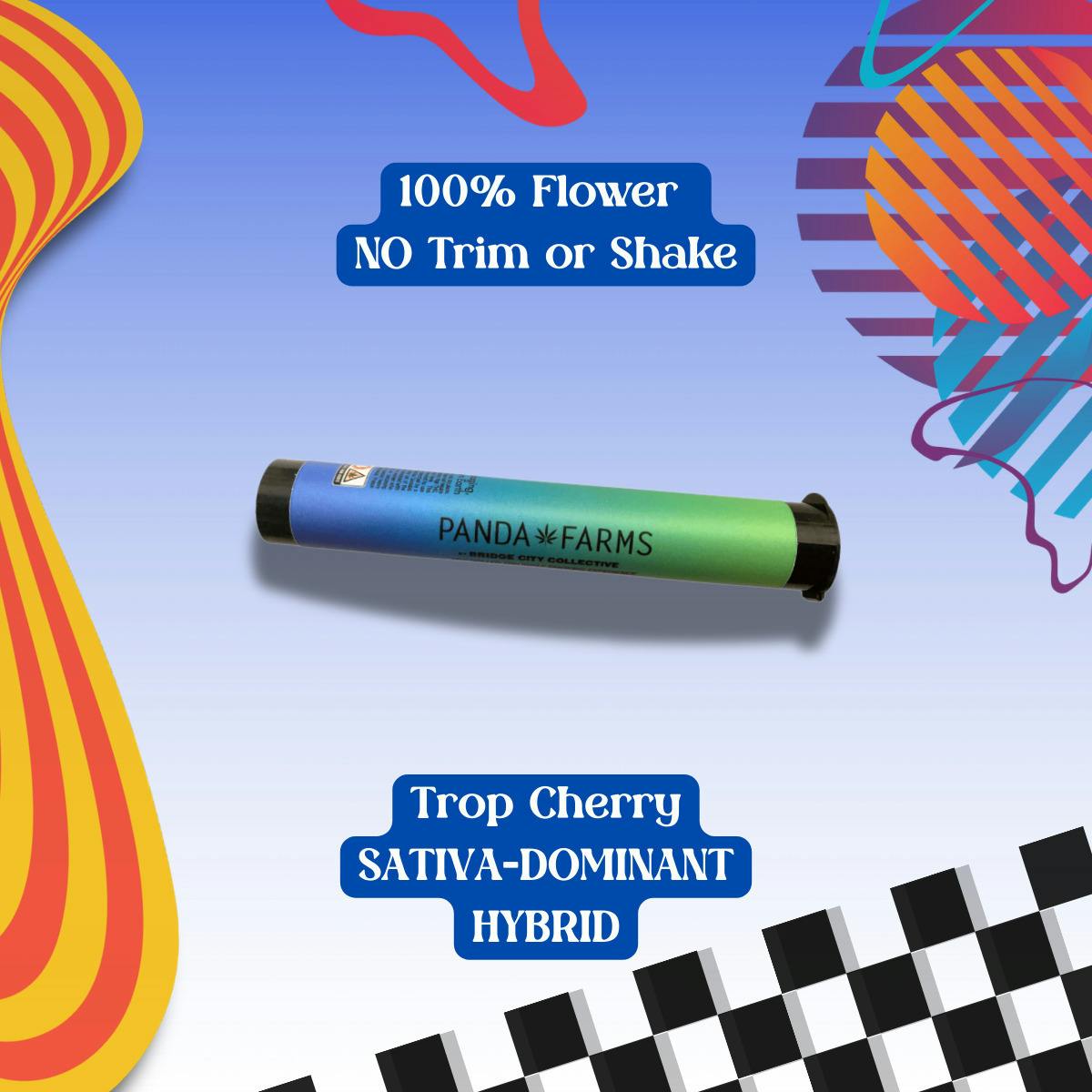 [PF] Trop Cherry | Joints | 1g