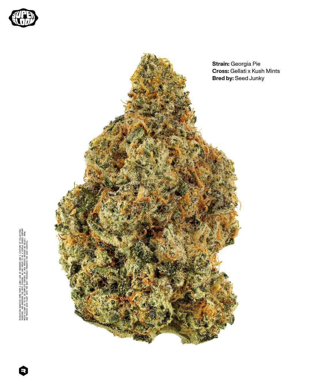 Georgia Pie | 3.5g
