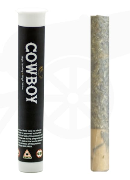Snow G | Joints | 1g at Bleaf Wellness Centre