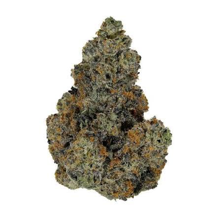 Midnight Gelato: Big Buds - 1g