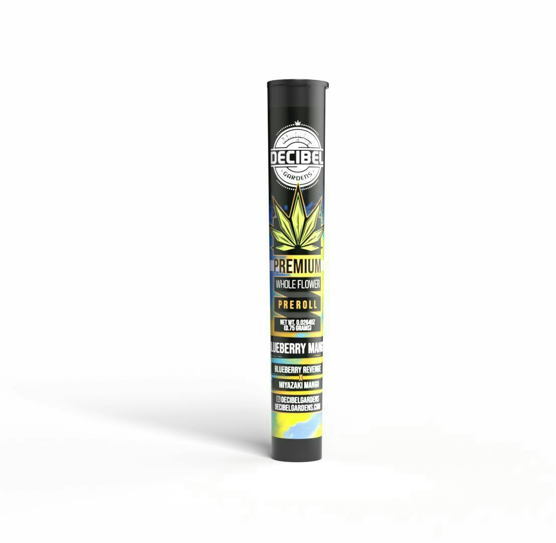 Blueberry Mango