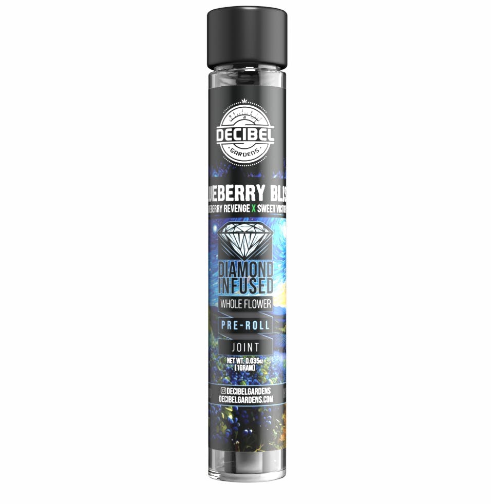 Decibel Gardens: Blueberry Bliss