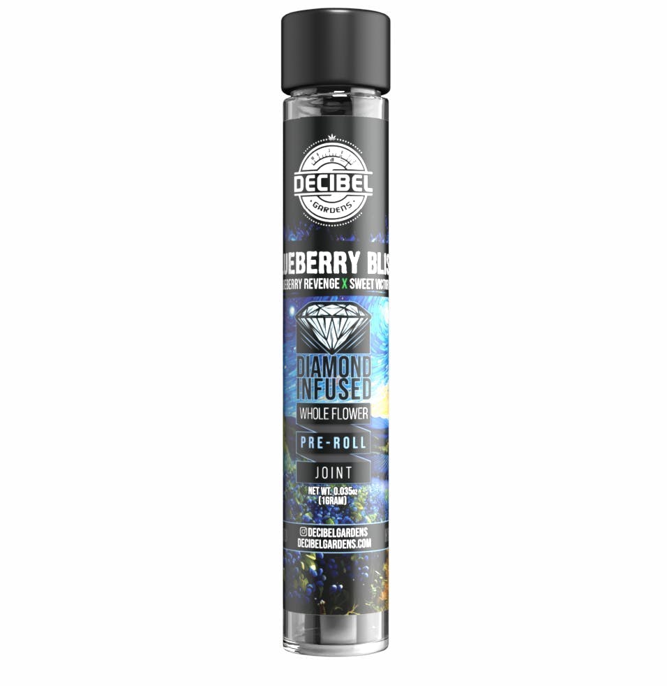 Decibel Gardens: Blueberry Bliss