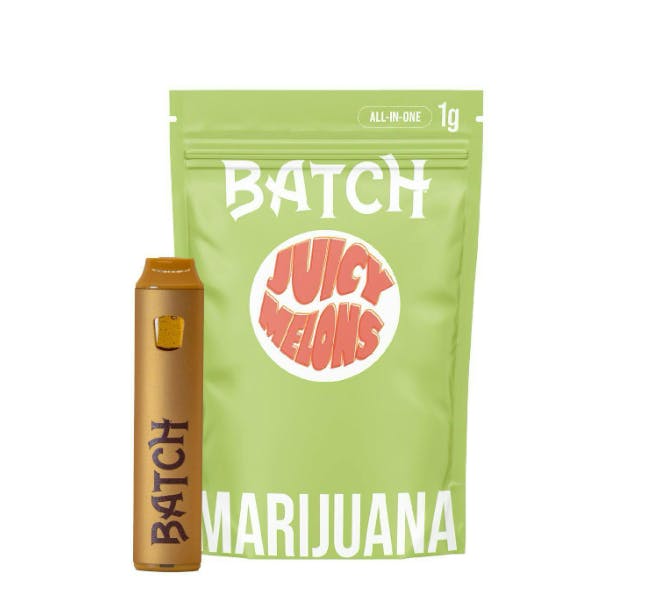 Juicy Melons | Disposable | 1g by Batch