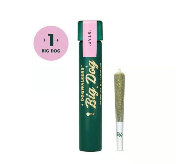 Scout Dawg OG Big Dog | Joint | 0.75g at Zen Leaf Cannabis Dispensary