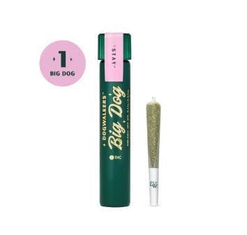 95 Cookies Big Show Dog | Infused Joint | 1g by Dogwalkers