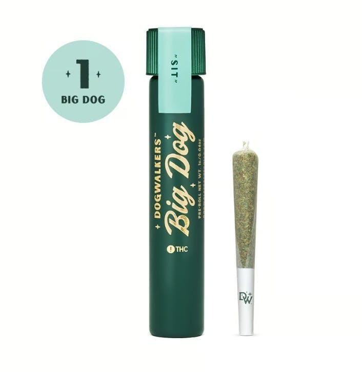Purple Starfruit Big Dog | Joint | 0.75g by Dogwalkers