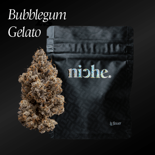 Bubblegum Gelato | 1g at NJ LEAF Freehold