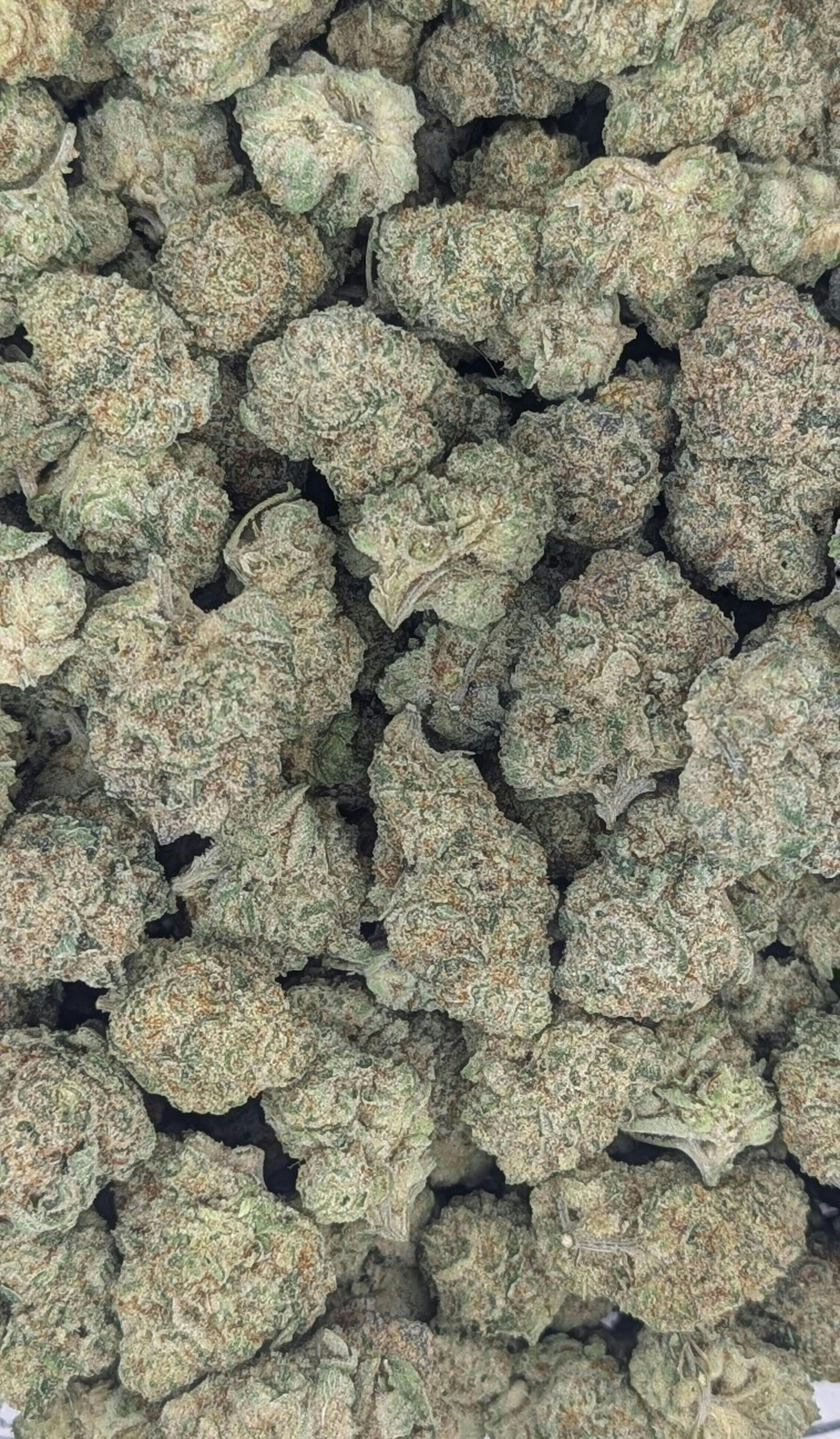 Banana Punch | Big Buds | 1g by Natty Rems