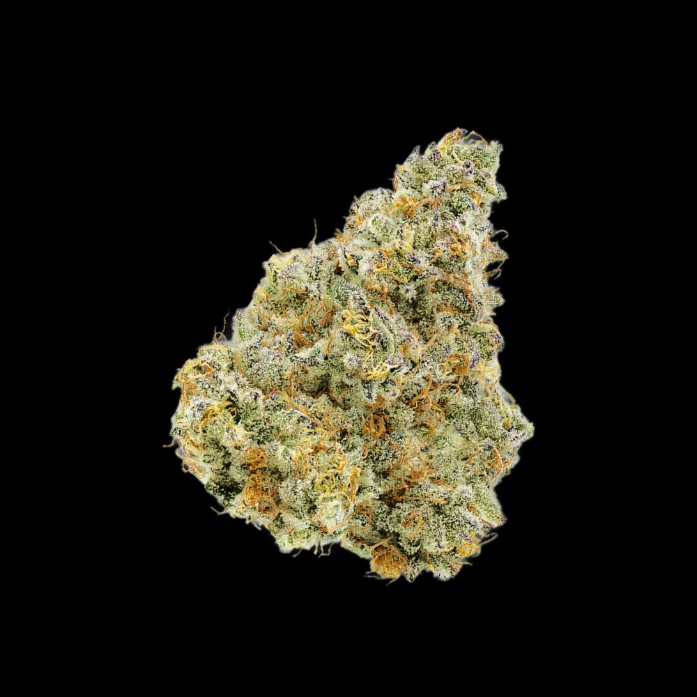 Premium Flower | Animal Tree by Auraz