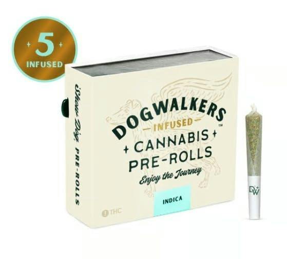Jack's Delight Mini Show Dog | Infused Minis | 0.45g each | 5pk