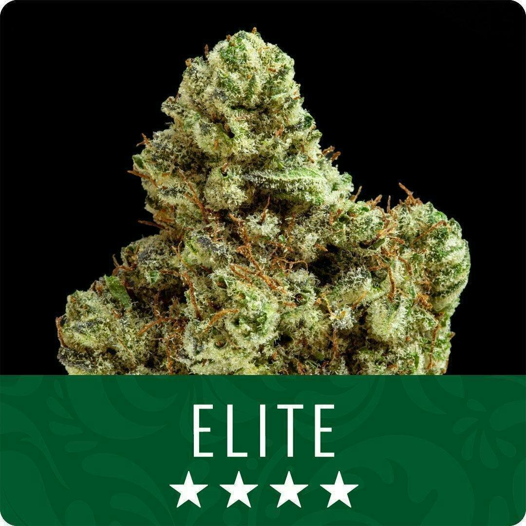 Gorilla Pie | Buds | 1g