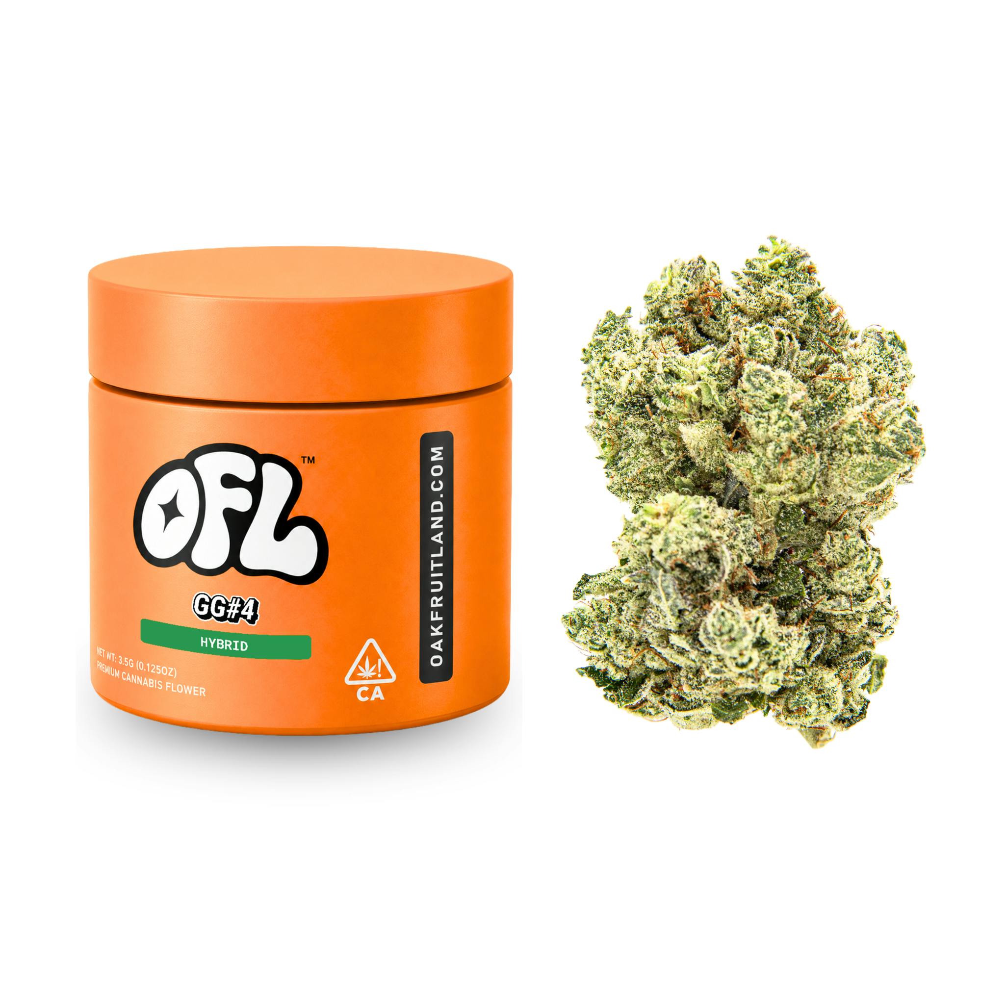 Oakfruitland (OFL): Chem S Sister