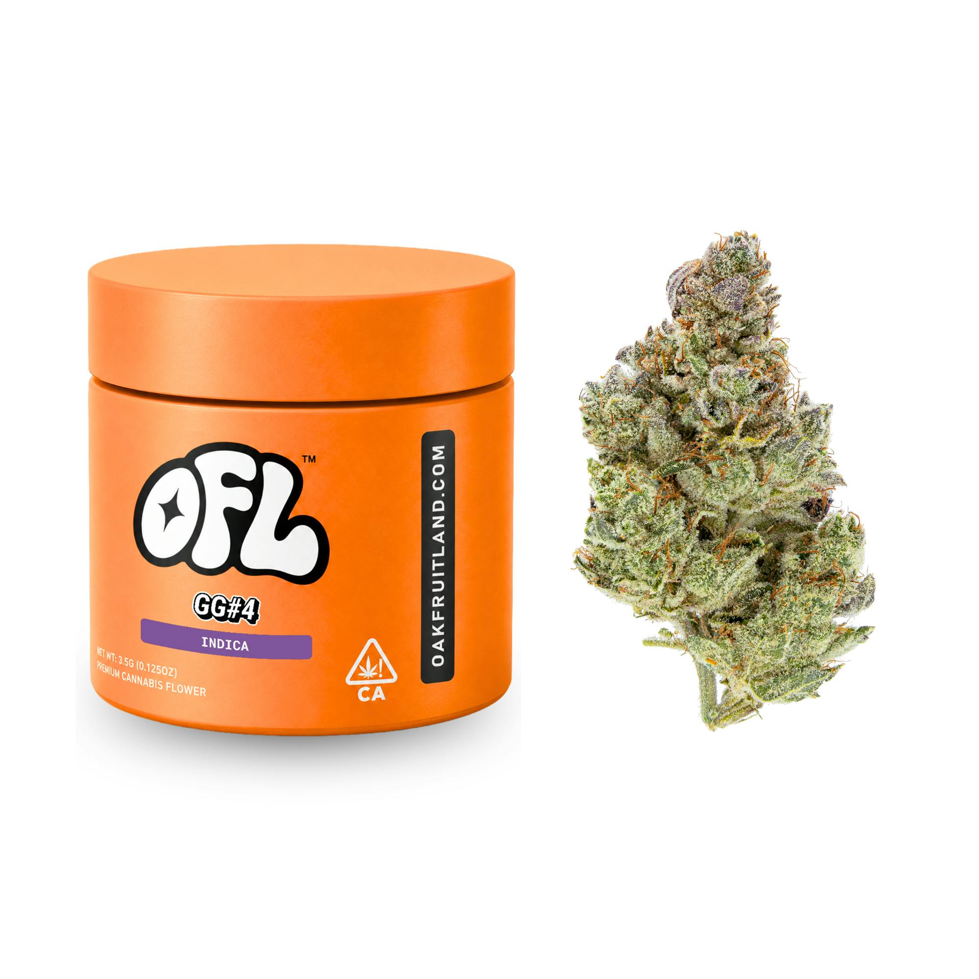 GG#4 | Big Buds Jar | 3.5g