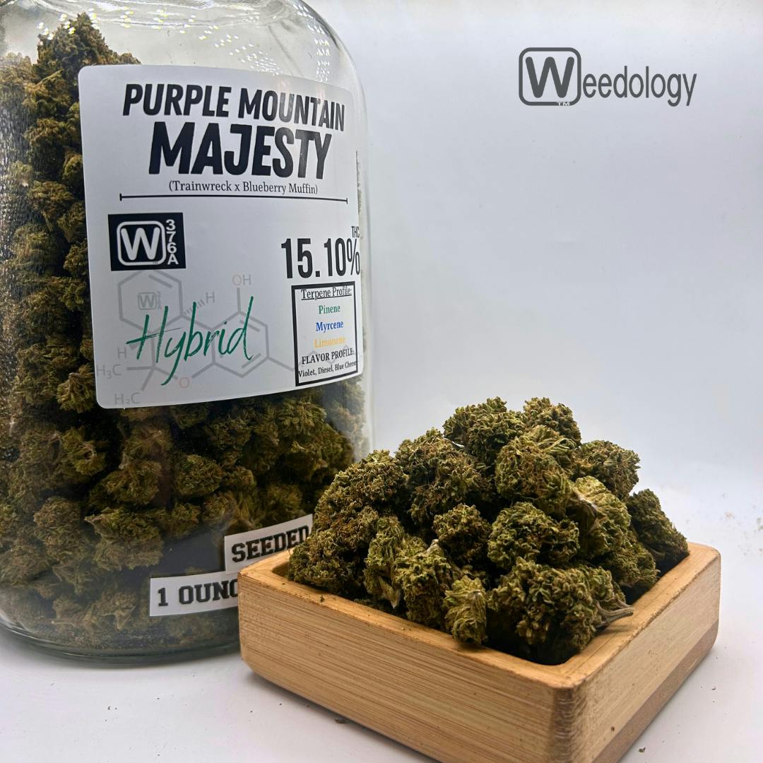 Purple Mountain Majesty: 28g
