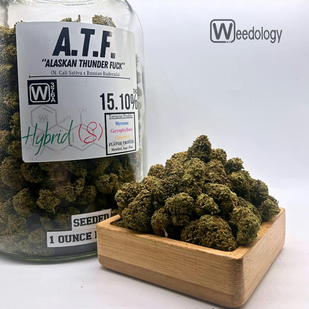 ATF: Alaskan Thunder Fuck