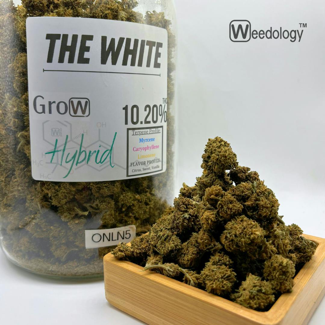 The White | Big Buds | 1g at The Bud House