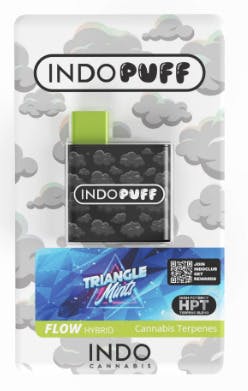 Triangle Mints | Disposable | 1g