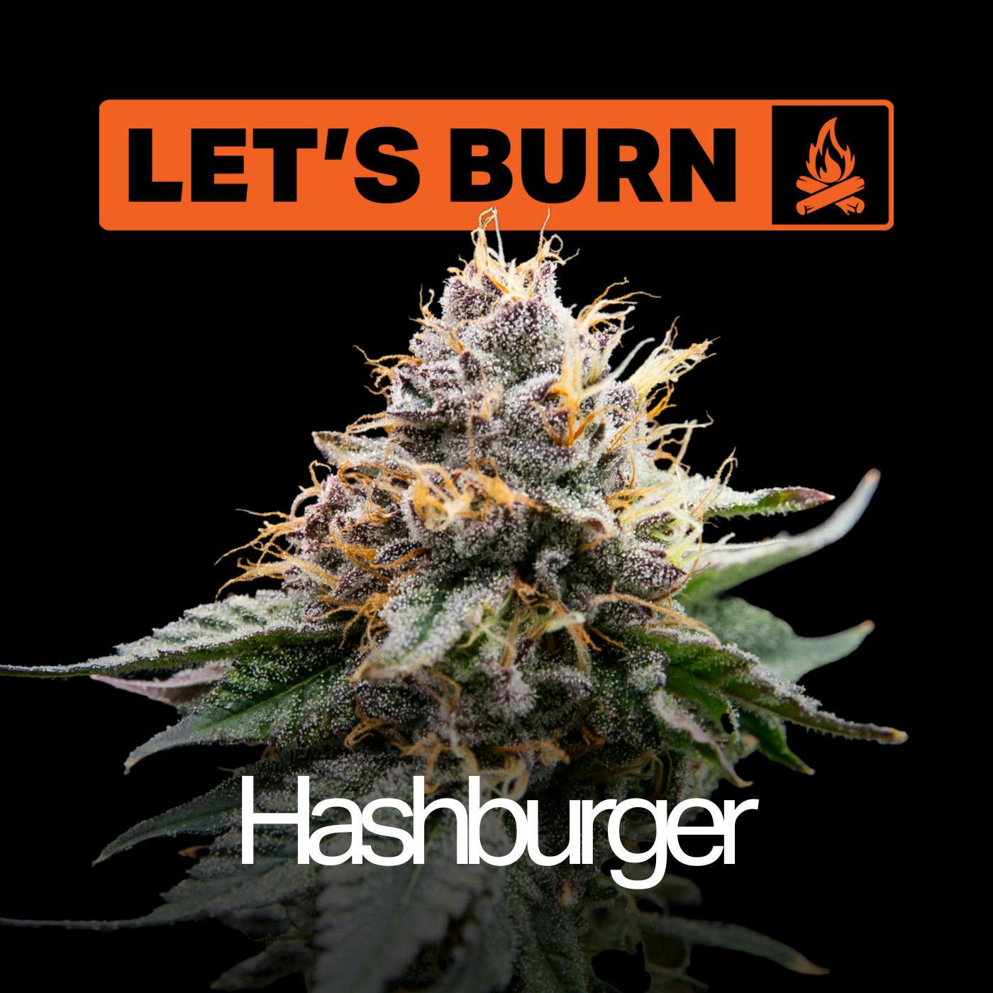 HSH Burger | 3.5g
