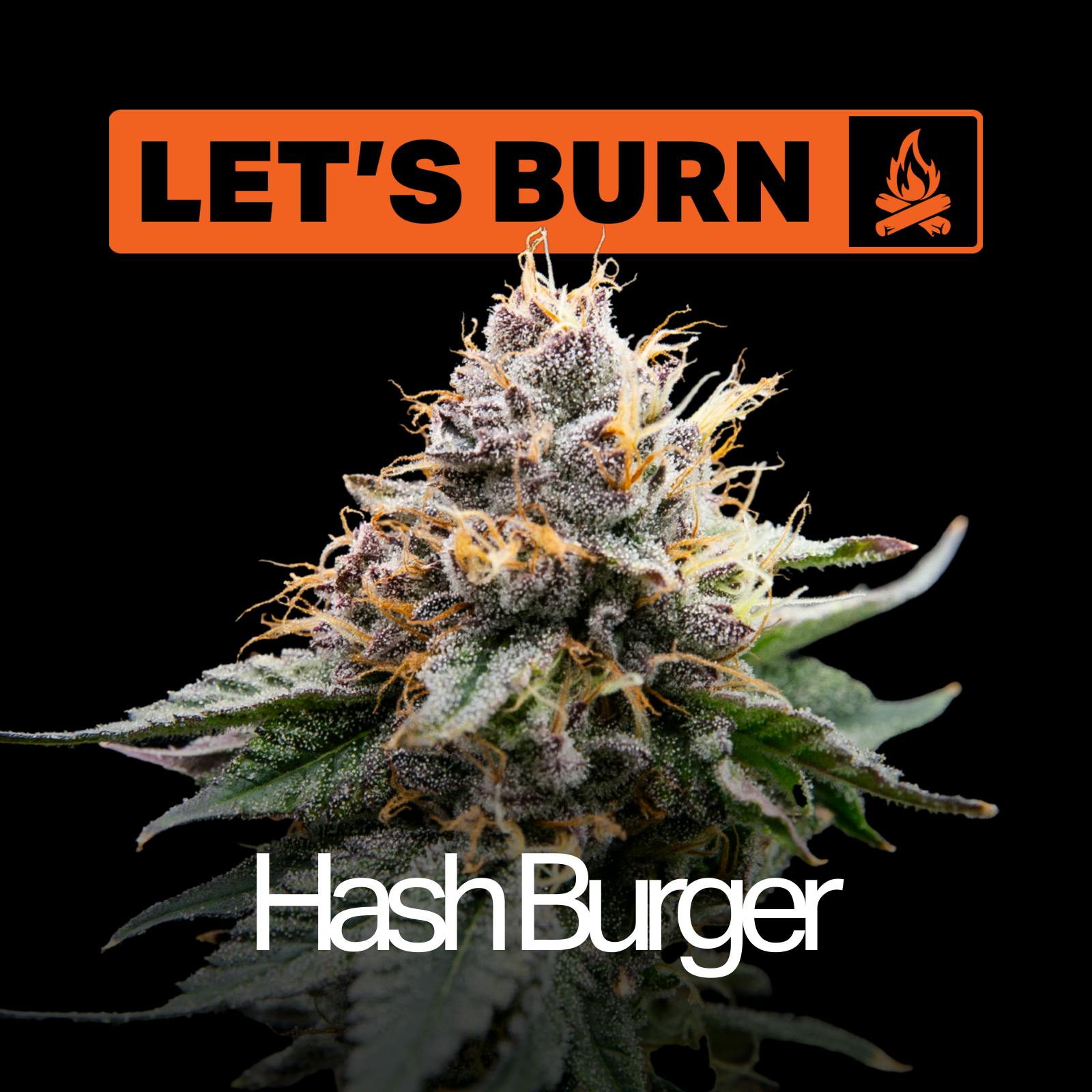 Hash Burger | 3.5g