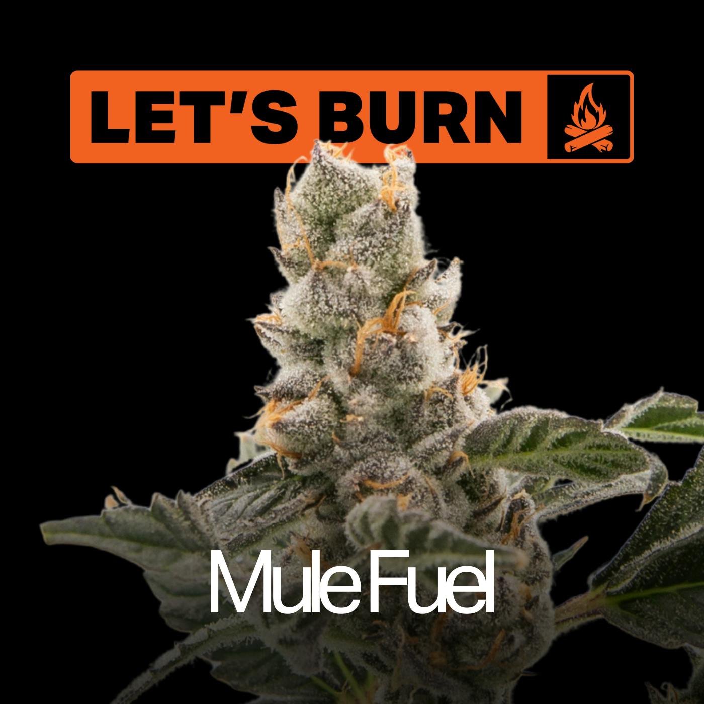 Mule Fuel | 3.5g