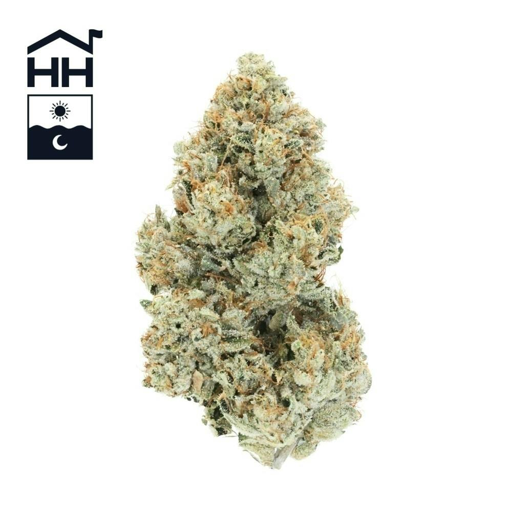 Motor Breath Buds | 3.5g