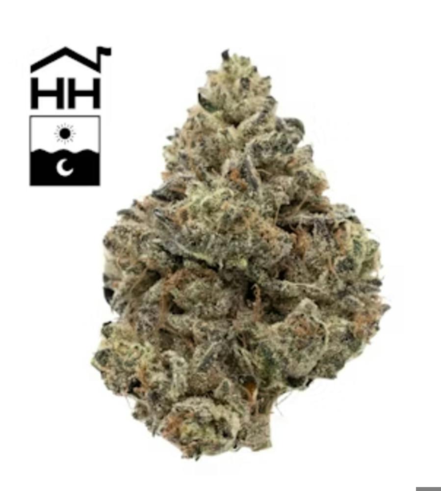 Garlic Drip | 3.5g