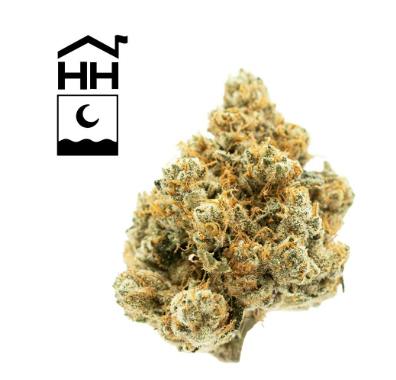 Sky 600 | Big Buds | 3.5g