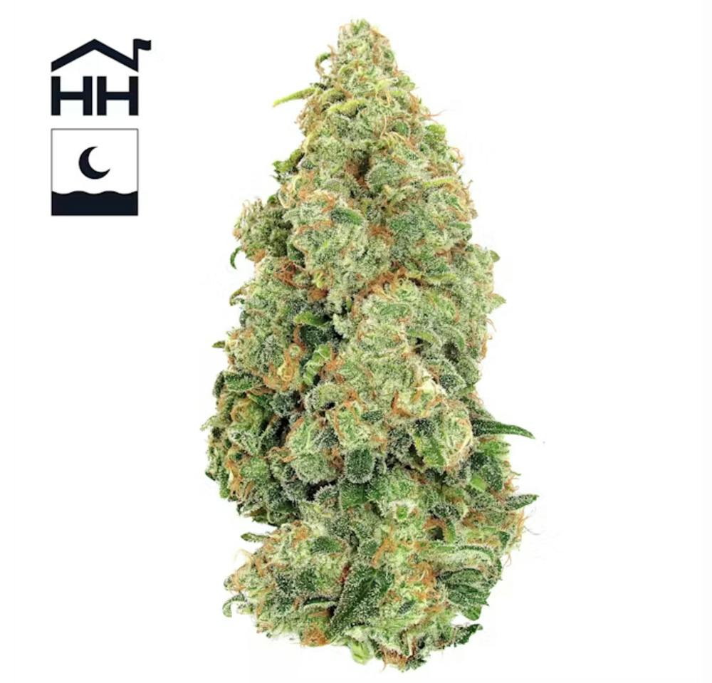Papaya Cake | 3.5g
