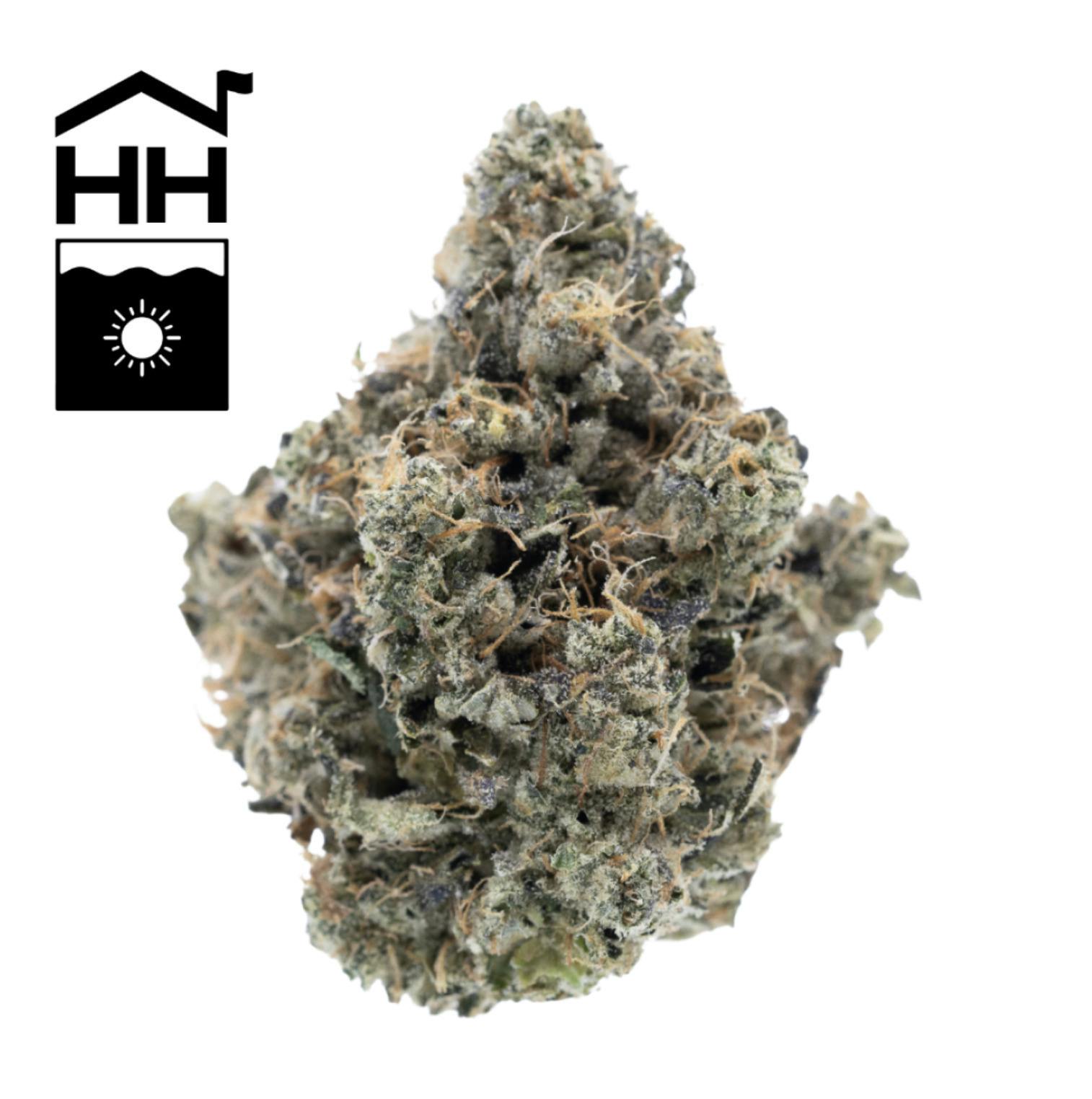 Orange 43 | 3.5g at Mintz Cannabinoid Dispensary and Smoke Shop Sharon
