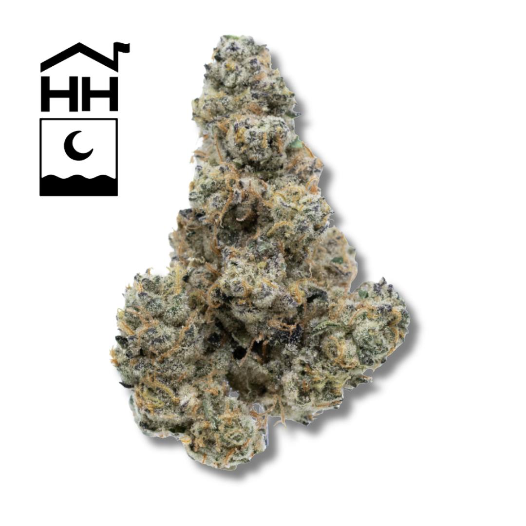 GMO | 3.5g
