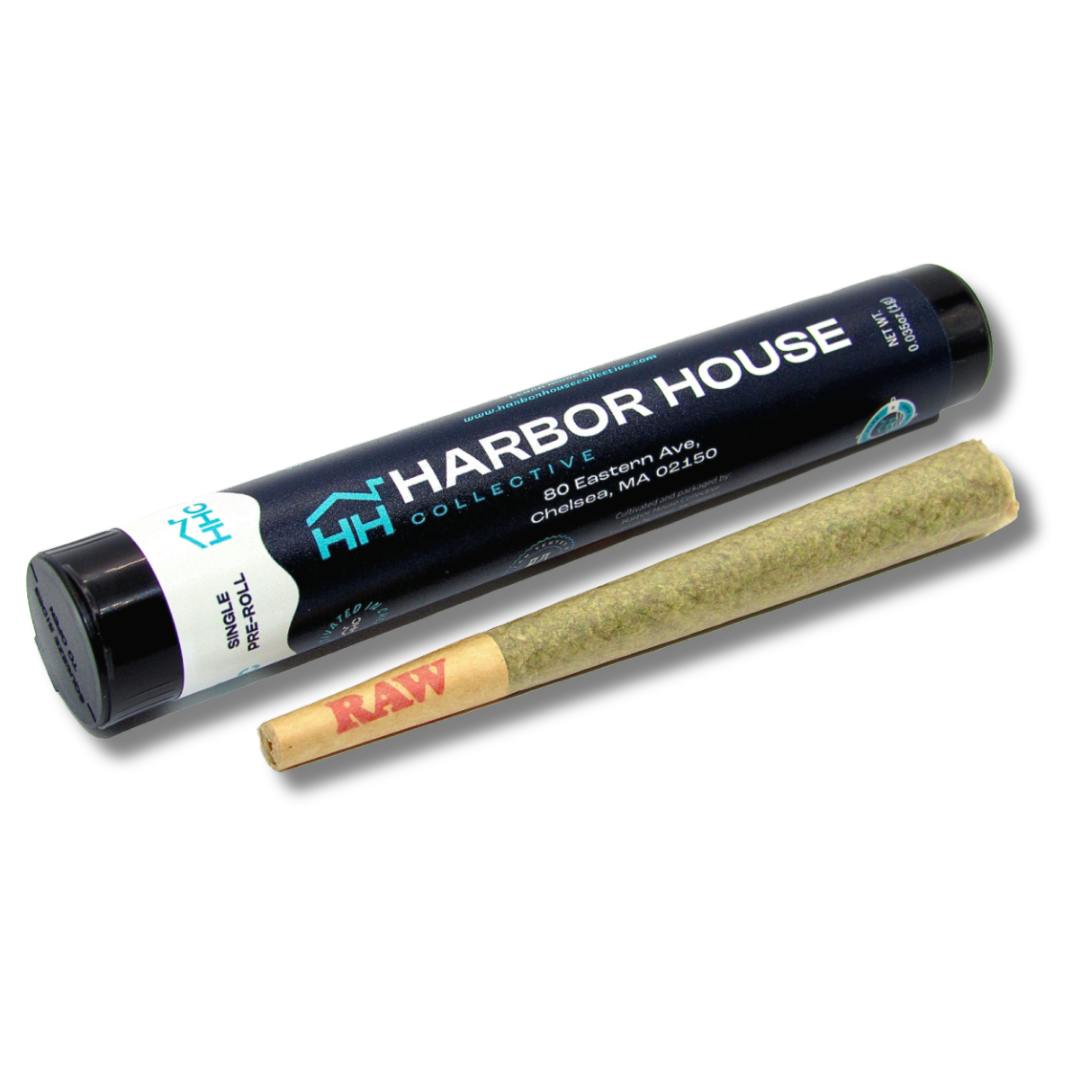 Jack's Dream | Joints | 1g