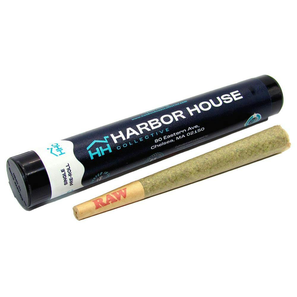 Orange 43 | Joints | 1g at The Green Lady Dispensary