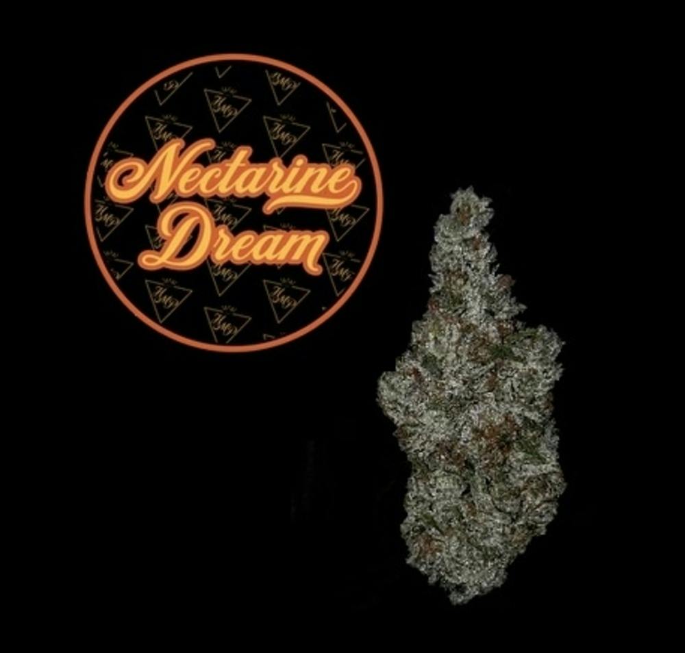 Nectarine Dream | 3.5g